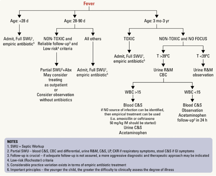 Approach to Fever in a Child